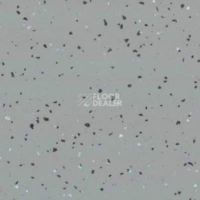 Линолеум Taralay Premium Indiana 4003 Tao фото 1 | FLOORDEALER